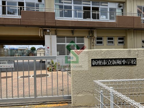 小学校　新座市立新堀小学校（小学校）まで442m