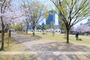公園　中之島公園（公園）まで550m