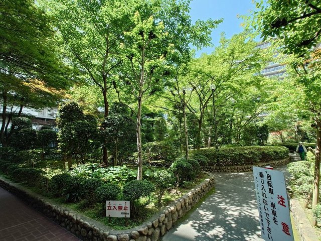 その他　緑あふれる中庭