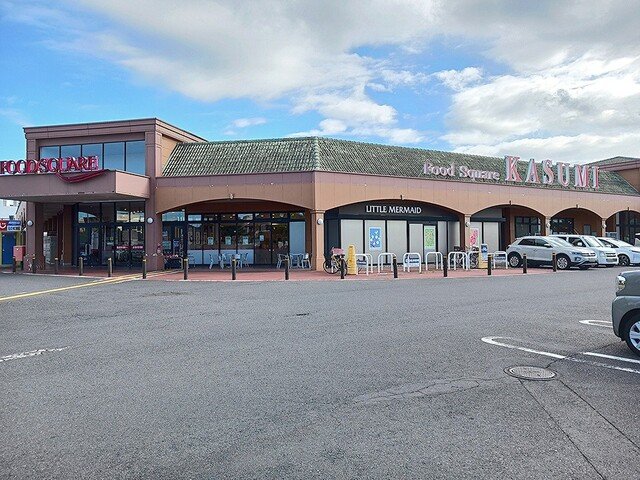 その他　カスミ　見川店まで664m