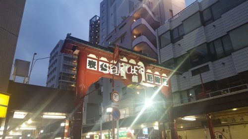 その他　表参道（その他）まで592m