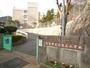 小学校　広島市立己斐上小学校（小学校）まで555m