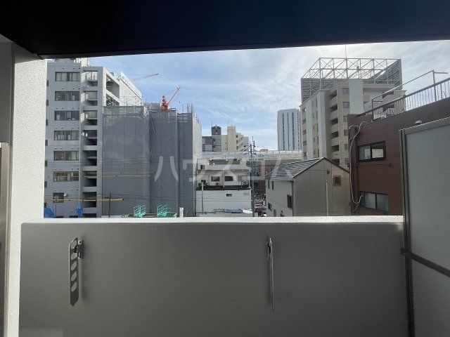 ウィステリアフロリバンダのその他写真