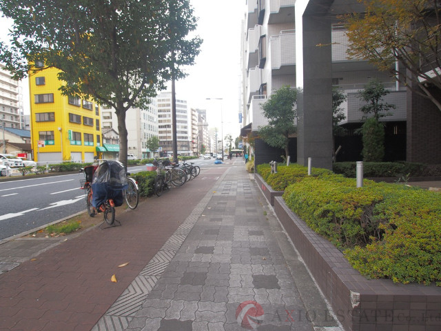 その他　周辺（その他）まで10m