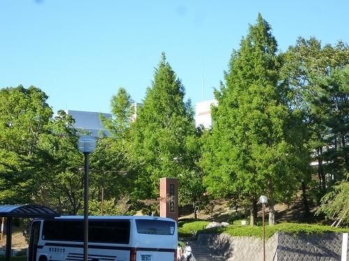 その他　東京薬科大学（その他）まで1800m