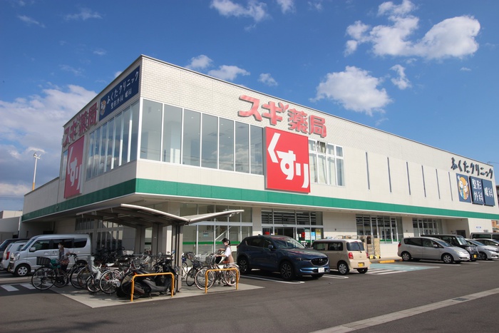 ドラックストア　スギ薬局向島店（ドラッグストア）まで800m