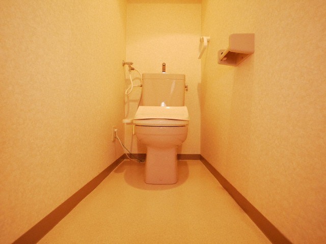 リバーライト菊水のトイレ写真