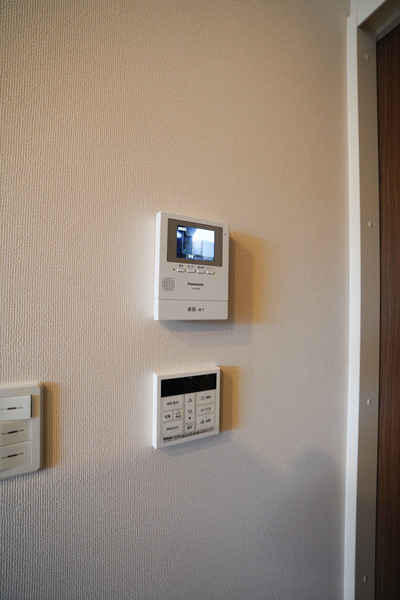 オリーブのその他写真