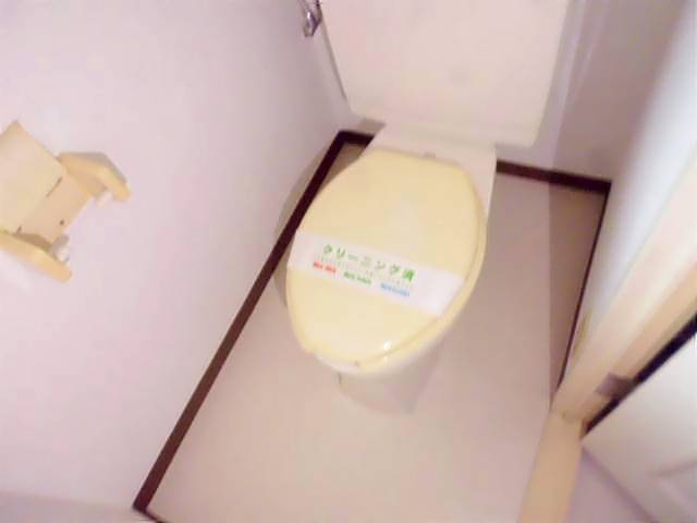 ブルーバードキャッスルのトイレ写真