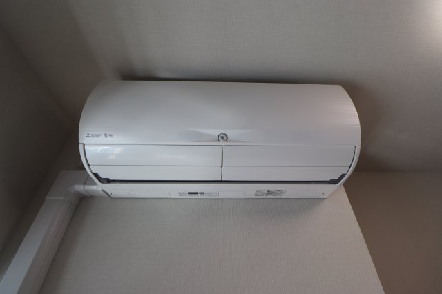 セレジェイラ ミツのその他写真