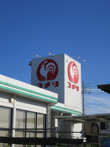 ホームセンター　コメリハード&グリーン コメリ大里店（ホームセンター）まで558m