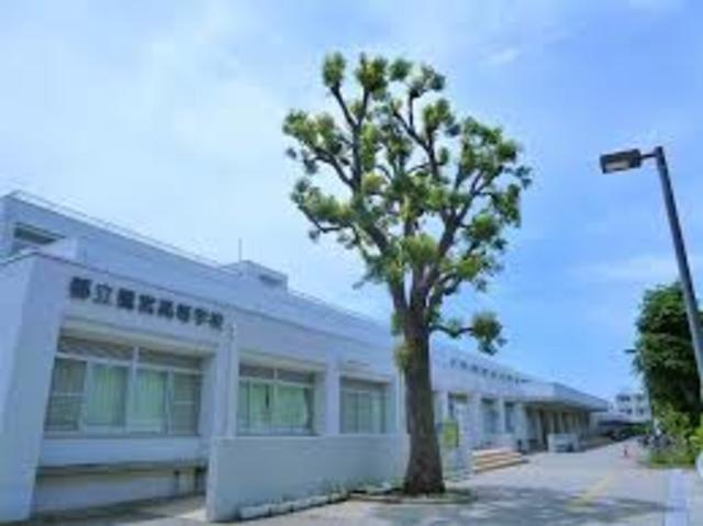 高校・高専　東京都立鷺宮高校（高校・高専）まで348m