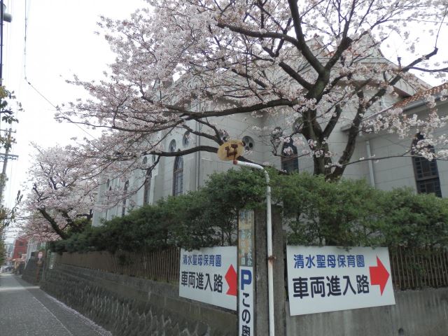 【メゾン小杉　Ｂの幼稚園・保育園】