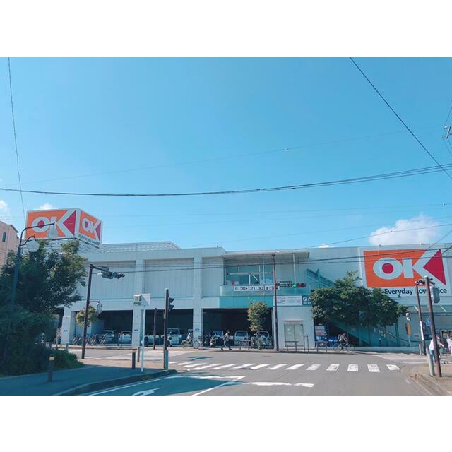 ショッピングセンター　オーケー伊勢原店（ショッピングセンター）まで810m