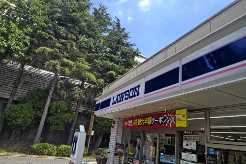 コンビニ　ローソン 練馬田柄二丁目店（コンビニ）まで412m