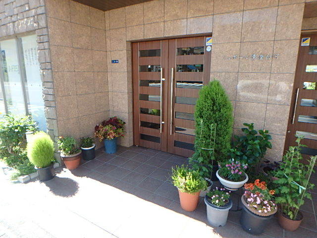 エントランス　エントランス