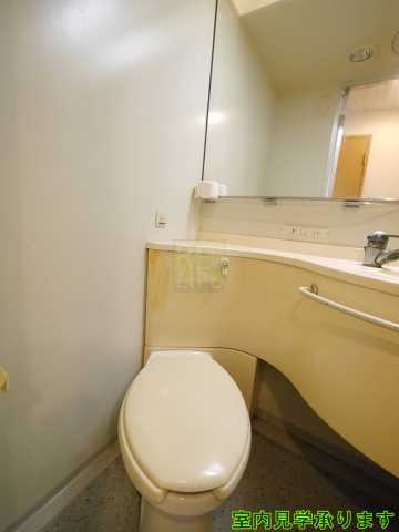 トイレ　スカイコート新宿曙橋