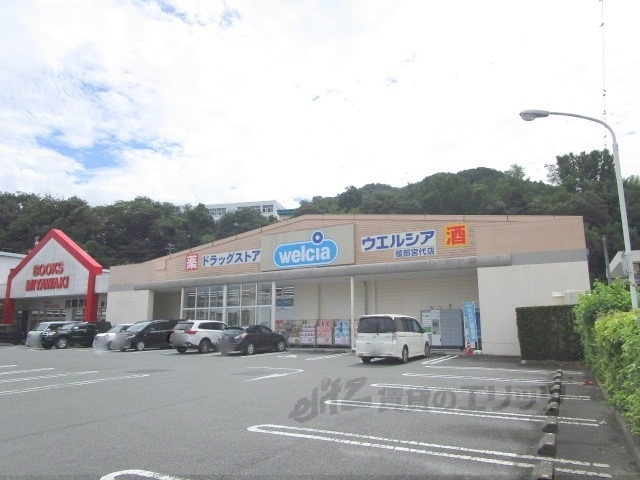 ドラックストア　ウエルシア綾部宮代店（ドラッグストア）まで800m