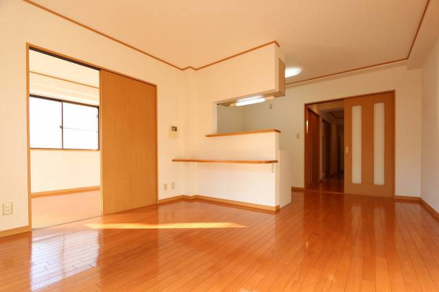 居室・リビング　２０３号室の写真