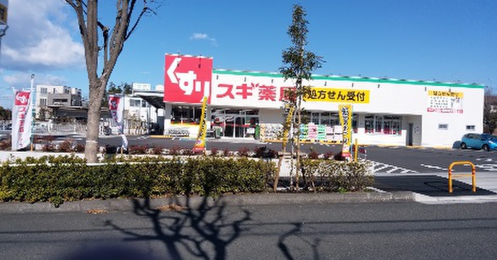 ドラックストア　スギ薬局 南町田店（ドラッグストア）まで379m