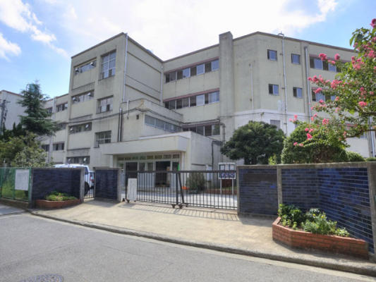 小学校　松戸市立八ケ崎小学校（小学校）まで519m