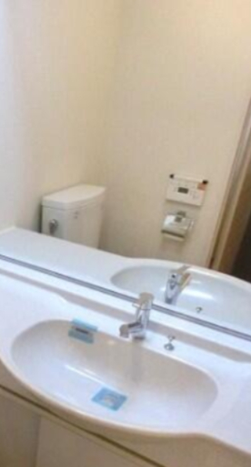 洗面設備　※別部屋の参考写真です。