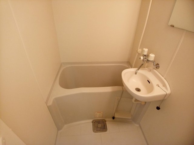 バス・シャワールーム　同じタイプのお部屋の写真です。