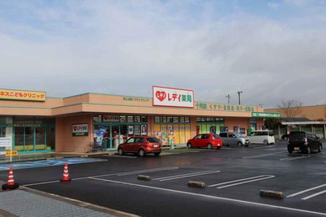 ドラックストア　レデイ薬局十川店（ドラッグストア）まで678m