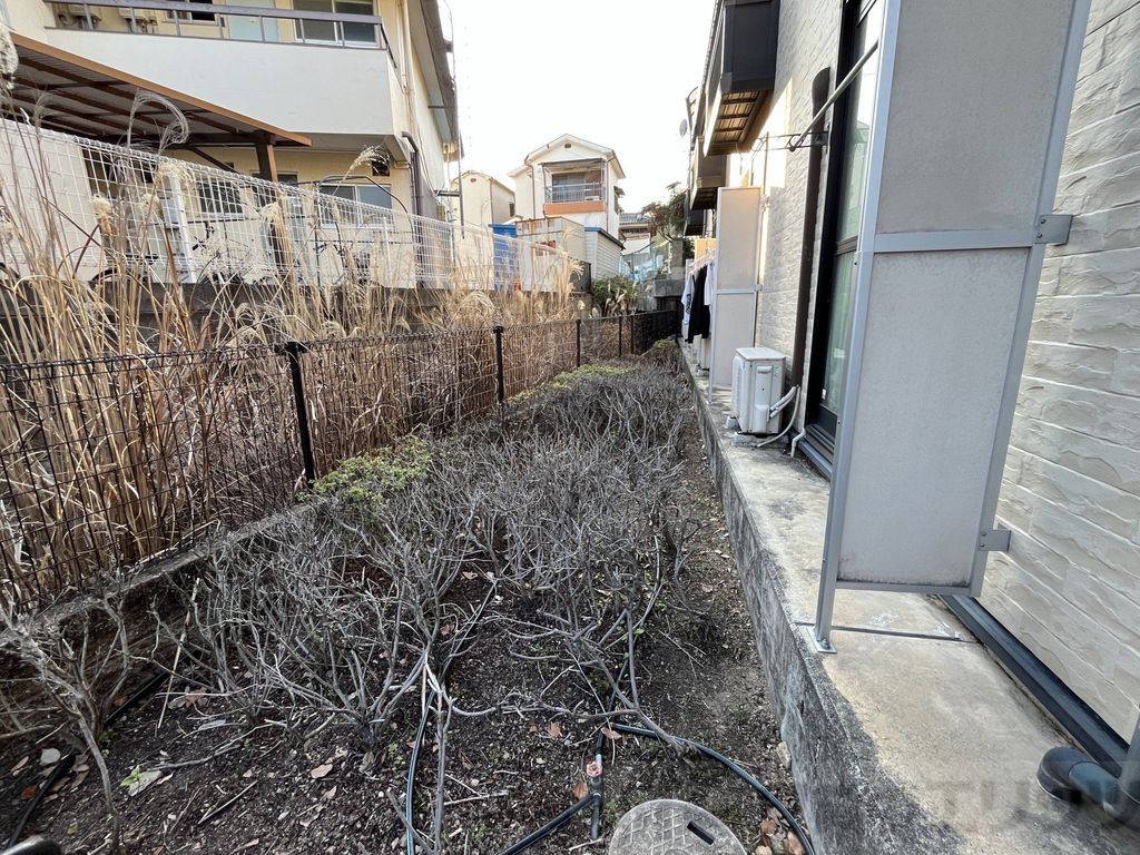 庭　庭