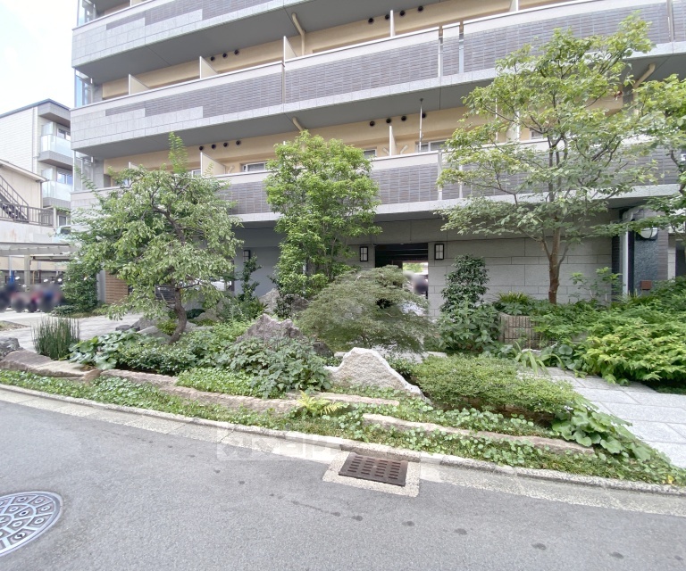 庭