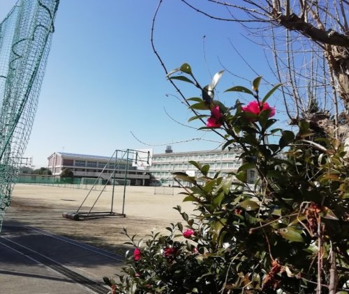 中学校　名古屋市立森孝中学校（中学校）まで214m