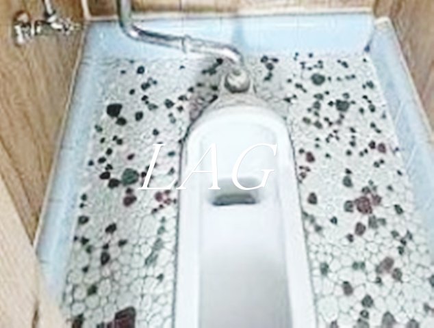 トイレ　トイレです。