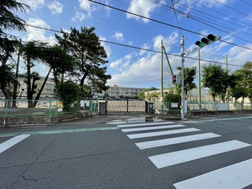 【千葉市中央区要町のマンションの小学校】