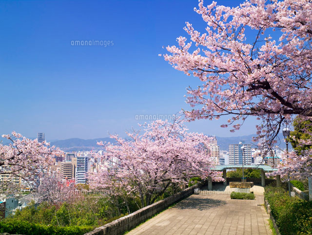 【広島市南区松川町のマンションの公園】