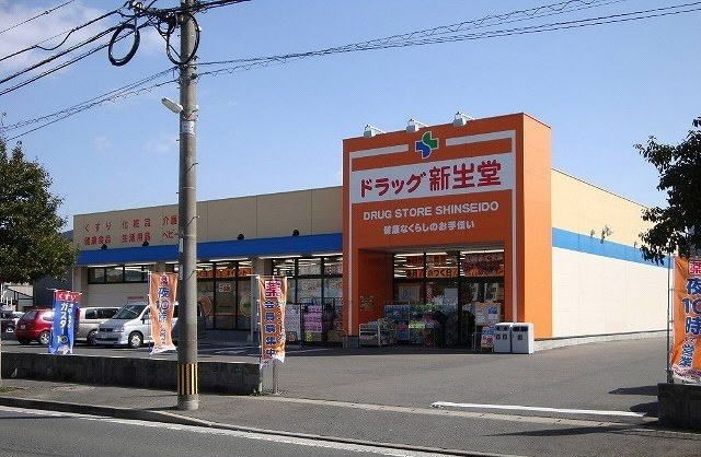 ドラックストア　ドラッグ新生堂 徳力南方店（ドラッグストア）まで1100m