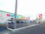 ドラックストア　スギ薬局 桑名大福店（ドラッグストア）まで1224m
