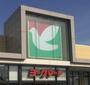 スーパー　ヨークマート富士見店（9：00～21：30）（スーパー）まで1176m