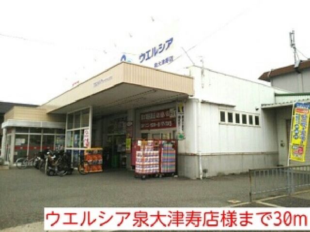 ドラックストア　ウエルシア泉大津寿店様（ドラッグストア）まで30m