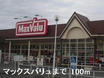 その他　マックスバリュまで100m