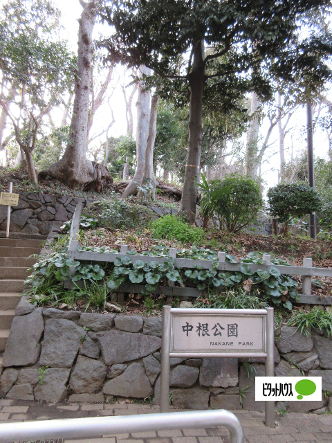 公園　中根公園（公園）まで413m