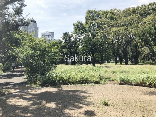 【横浜市神奈川区神奈川のマンションの公園】