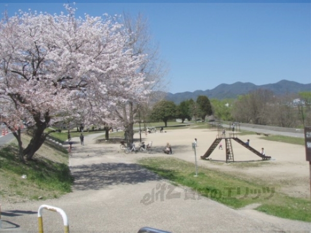 公園　桂川運動公園（公園）まで470m