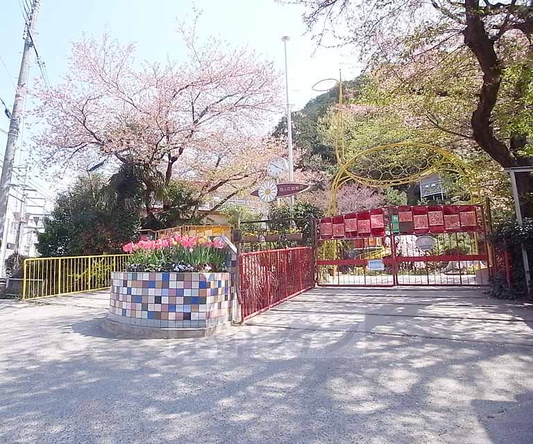 幼稚園・保育園　菊の花幼稚園（幼稚園・保育園）まで230m