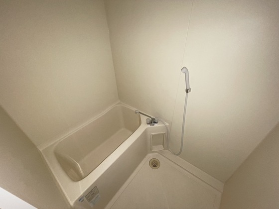 バス・シャワールーム　※別部屋の写真です