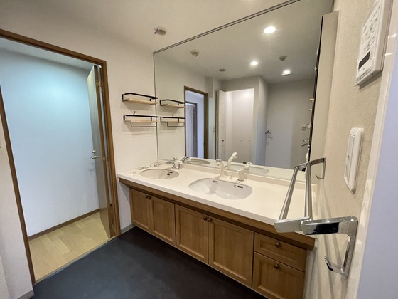 洗面設備　※別号室の写真です