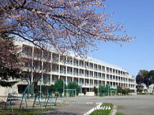 小学校　府中市立南白糸台小学校（小学校）まで742m