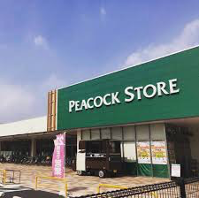 スーパー　ピーコックストア 豊四季店（スーパー）まで869m
