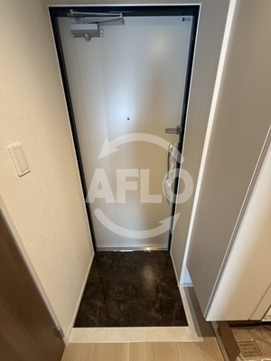 玄関　リアライズ今里南　玄関