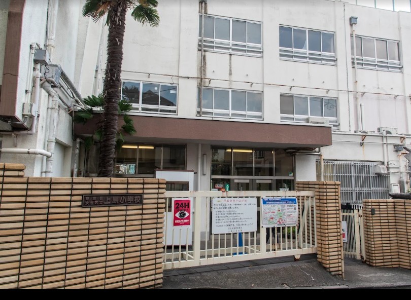 小学校　渋谷区立上原小学校（小学校）まで312m