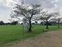公園　八潮南公園運動広場（公園）まで571m
